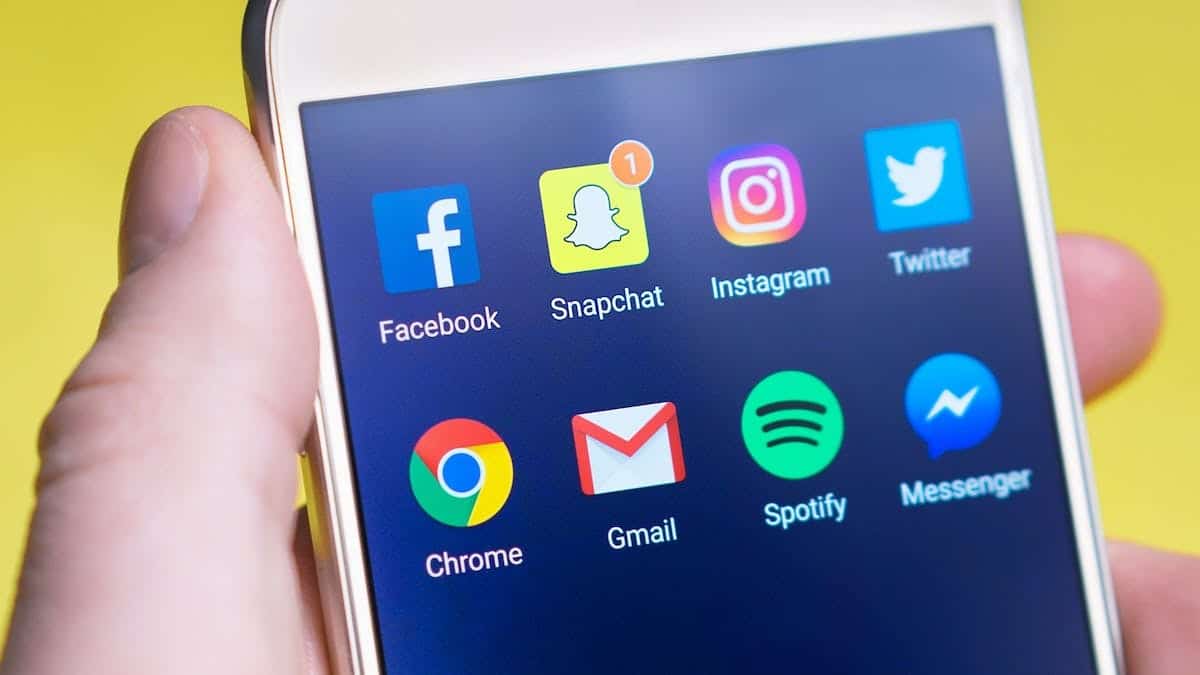 seo  réseaux sociaux